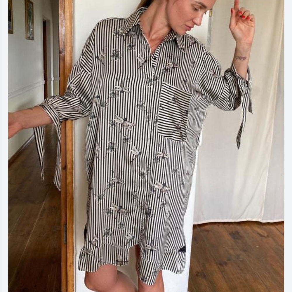 ZARA Shirt Dress Oversized Striped Dragonfly Hi/Lo Button Down Small EU
